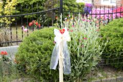 image165