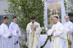 image231