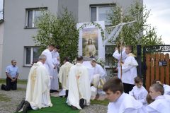 image233